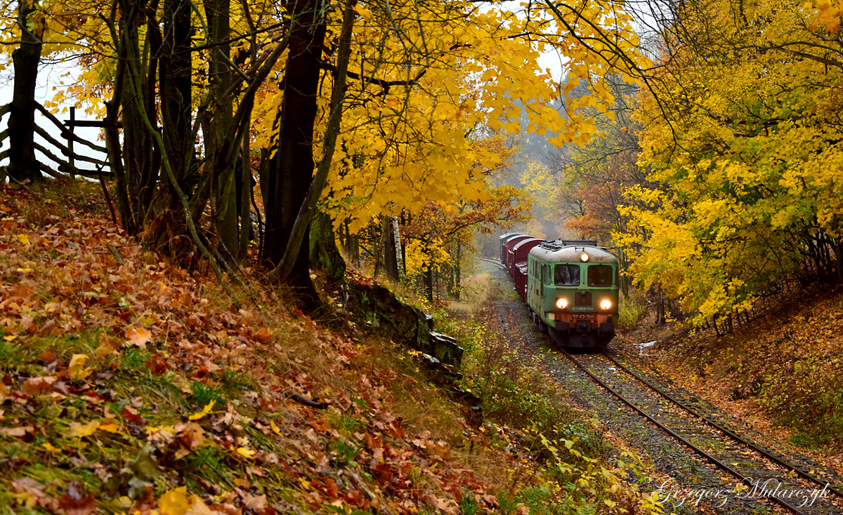 Nigdy nie będzie takiej jesieni