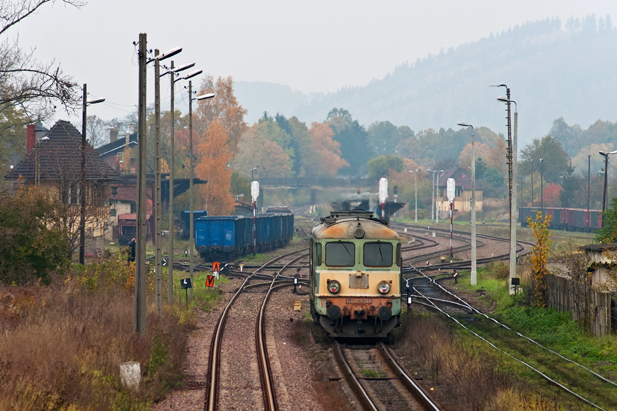 Dwie wisienki w Ścinawce Średniej