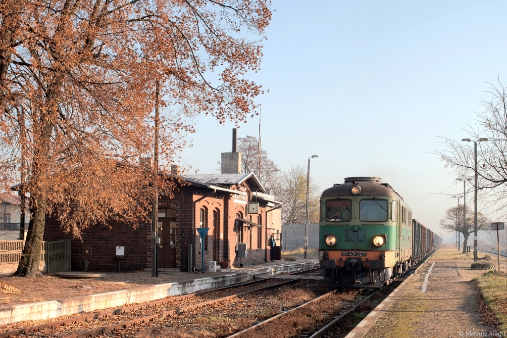 Lasocice po raz któryś tam