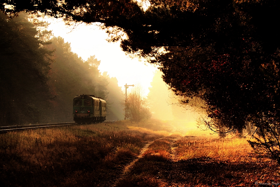 Rumuny w jesiennej mgle