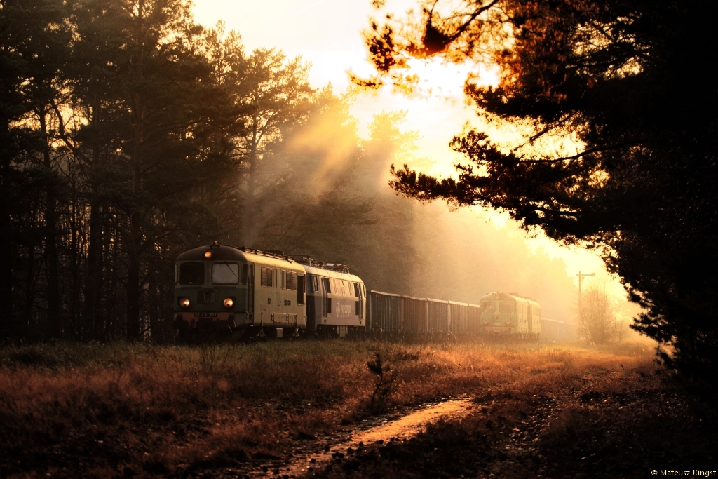 Rumuny w jesiennej mgle - ciąg dalszy...