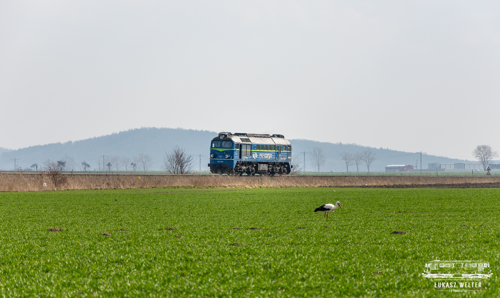 Bocian! Patrz! bocian!