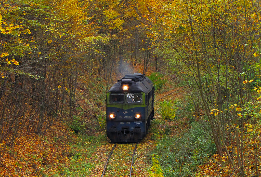 Jesień pod Czarnkowem
