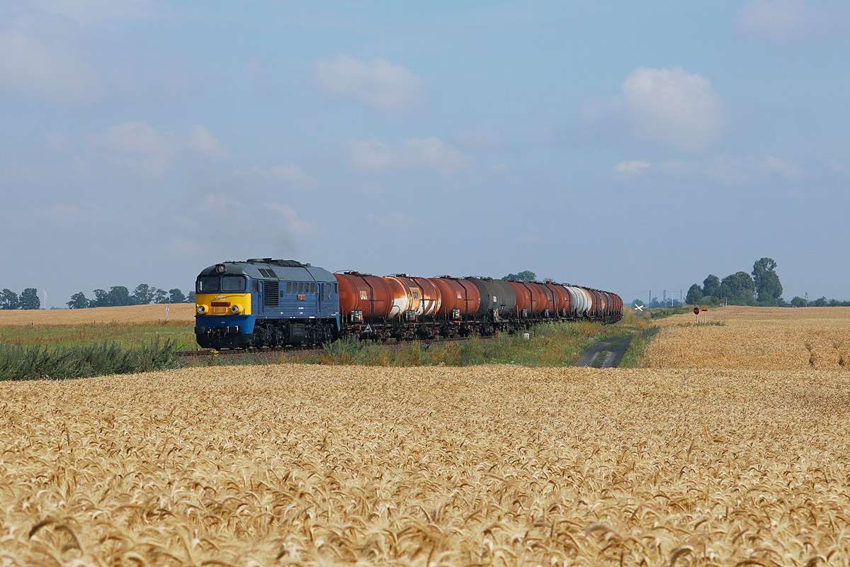 M62-1891 buszujący w zbożu