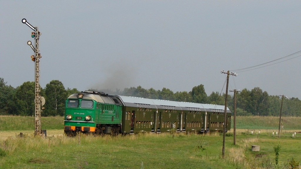 Kotlecik częściowo nieświeży