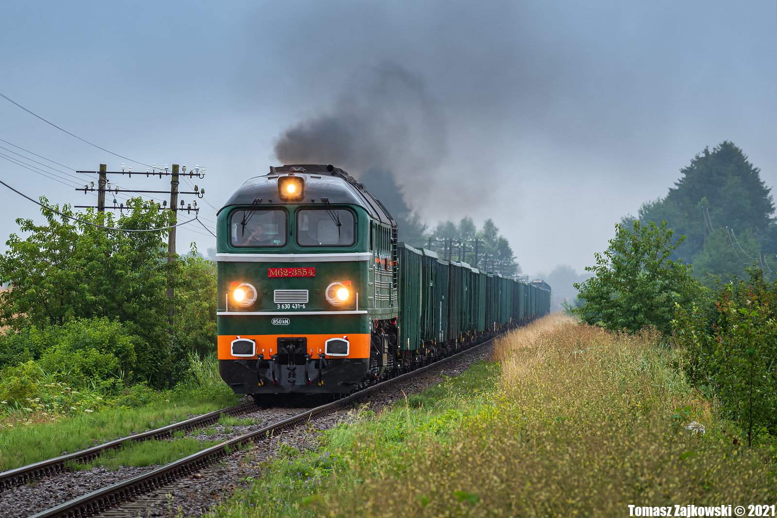 Klasyczny dziad na podsudeckiej