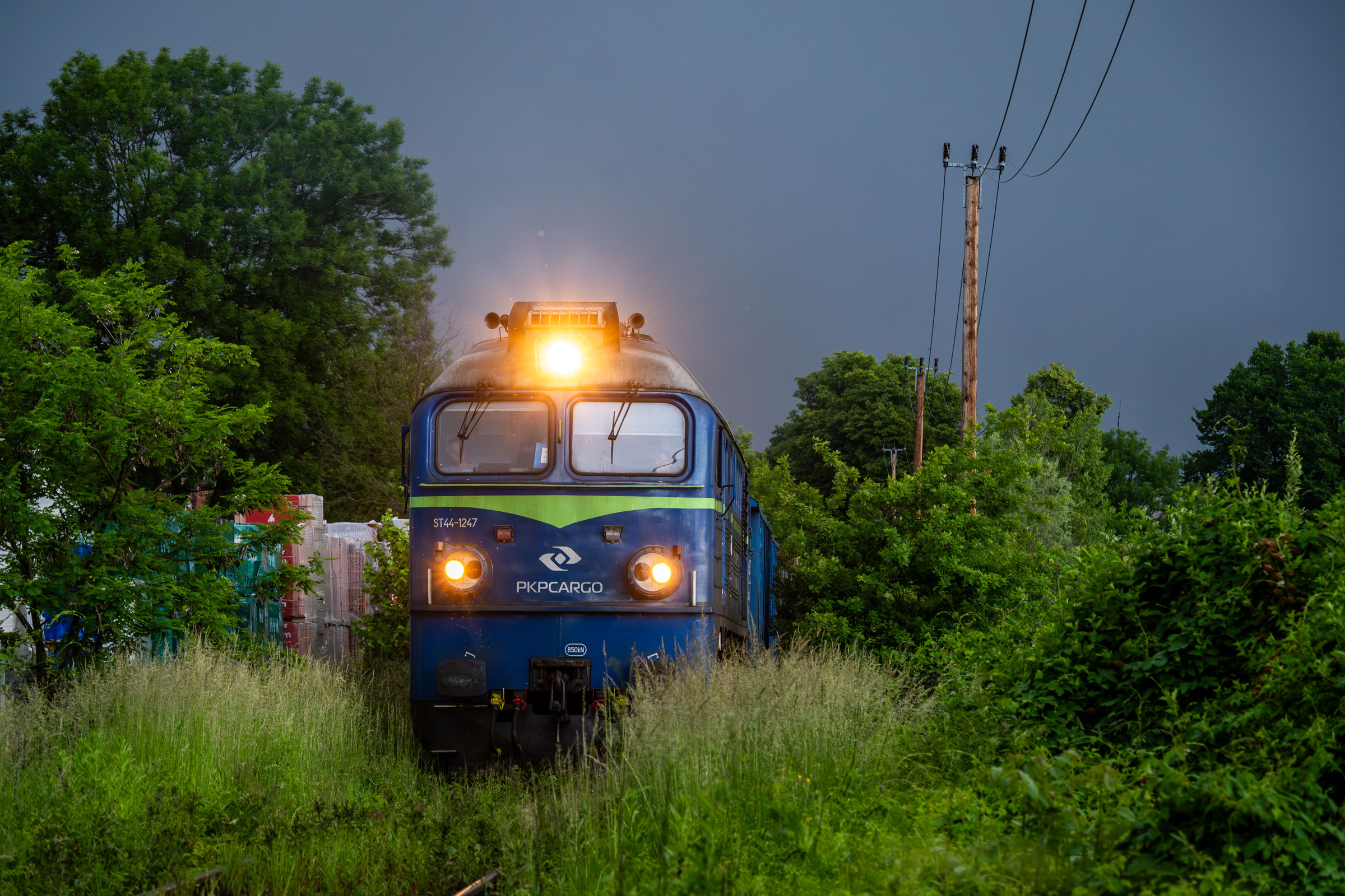 Ucieczka przed ulewą