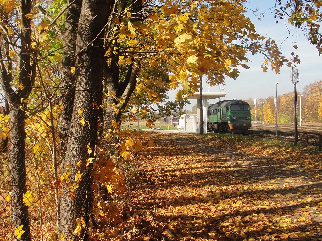 Jesienne wspomnienie z Suwałk