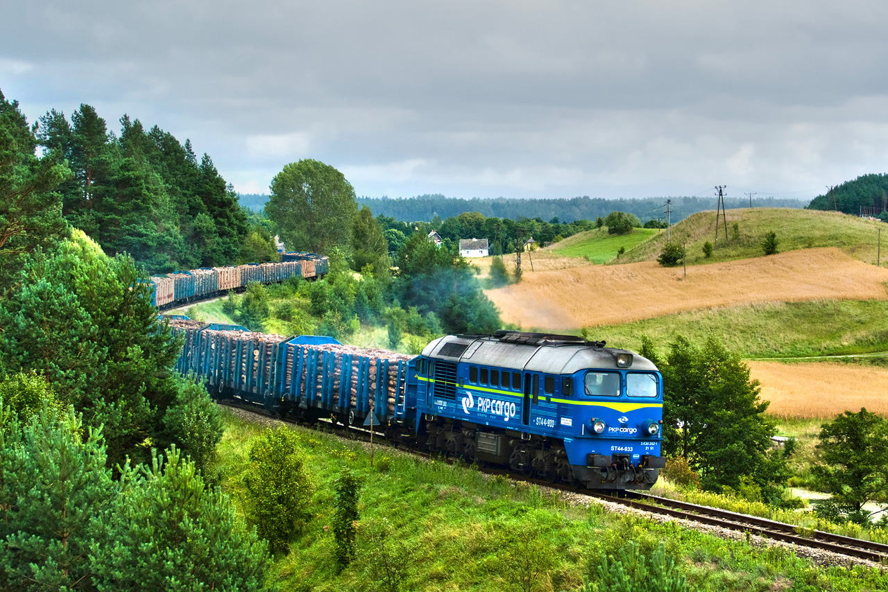 Wąż w wersji letniej