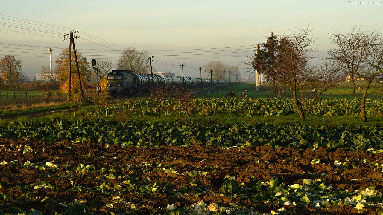 Już wiem dlaczego JSL