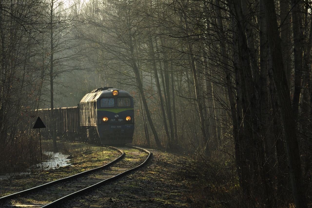 WuKaKu widziana oczami Krzakozaura
