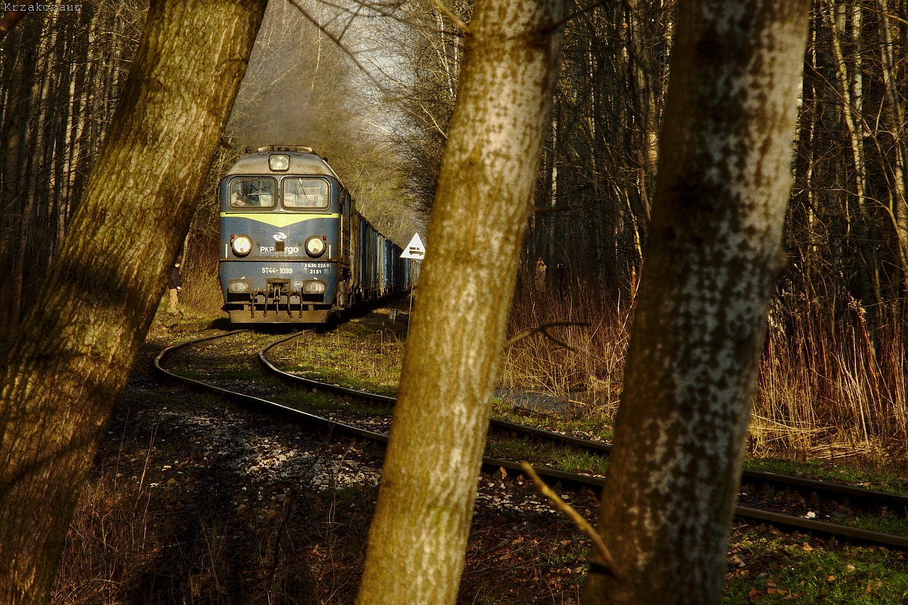 Warszawska Kolej Klimatyczna