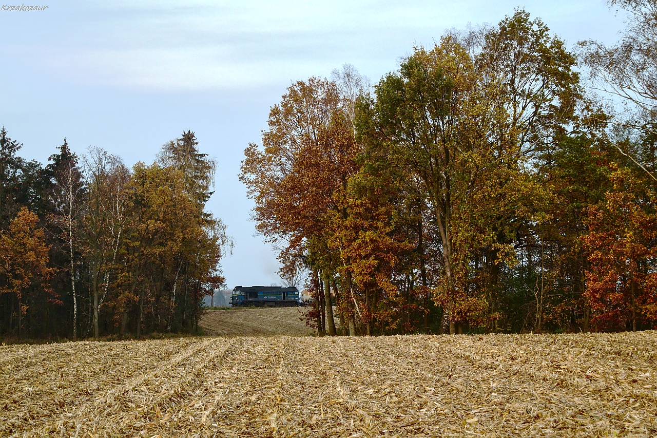 Dobrze, że ją wycieli