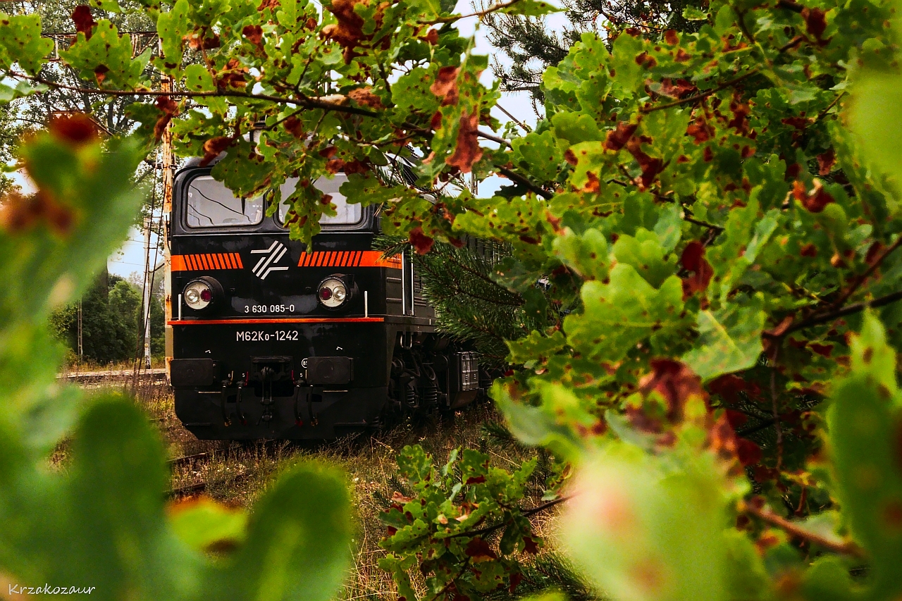 Pierwsze oznaki jesieni