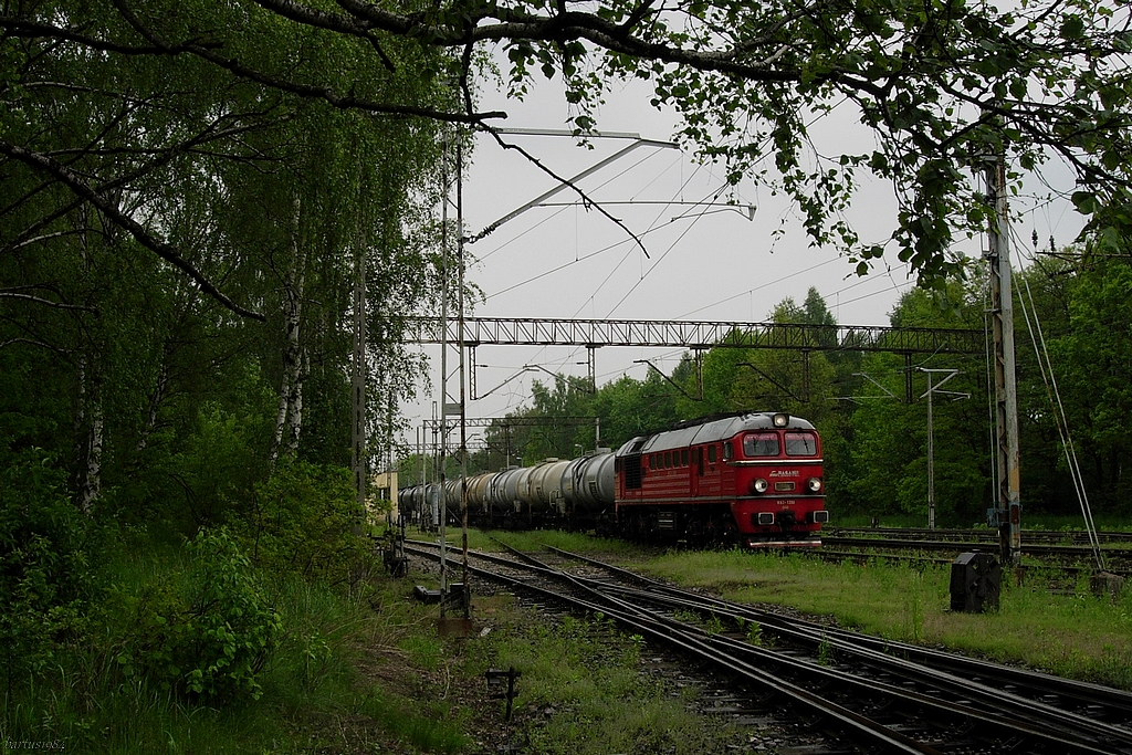 Na moich śmieciach pojawił się on...