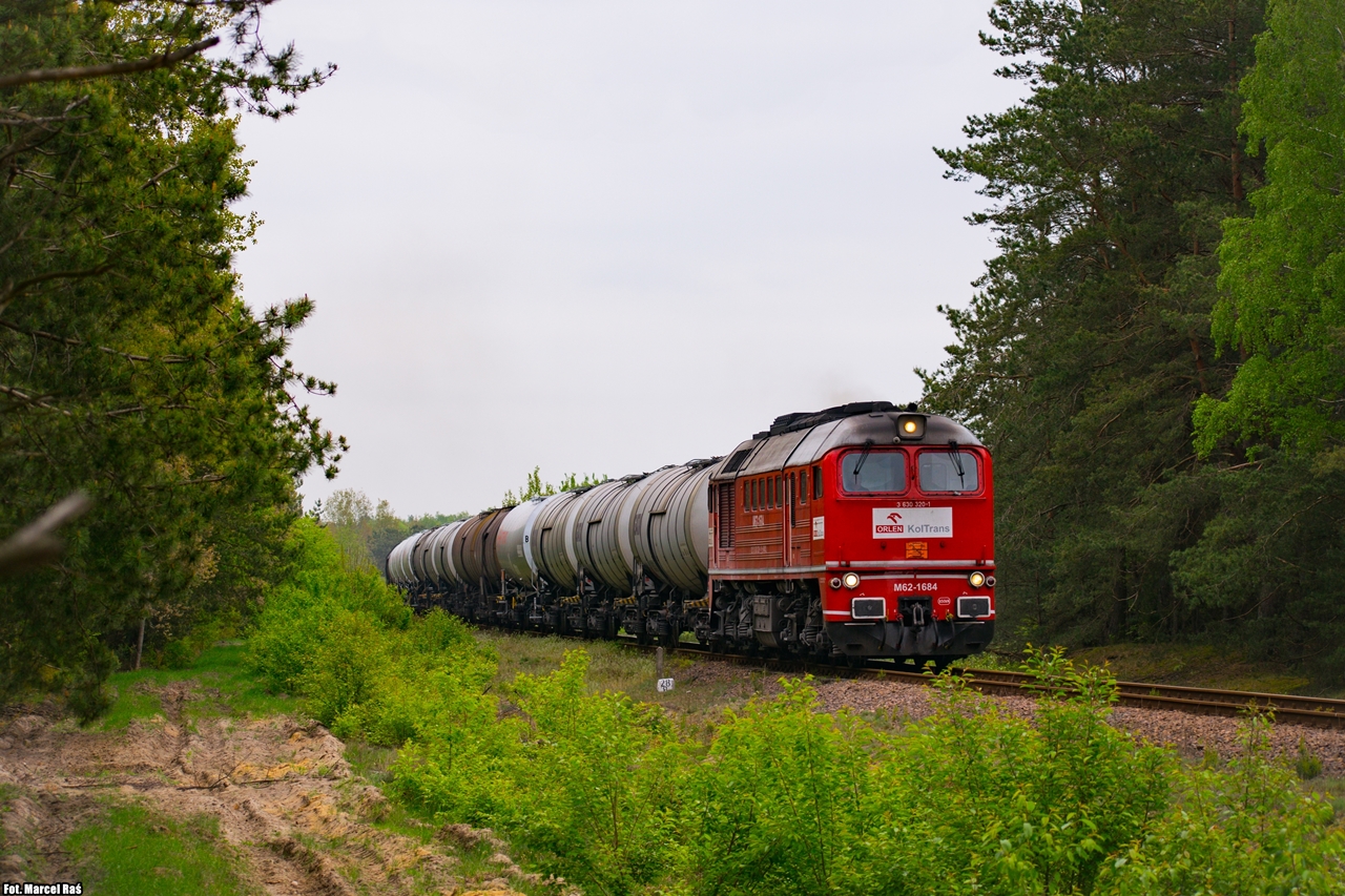 Gagarin na leśnym łuku