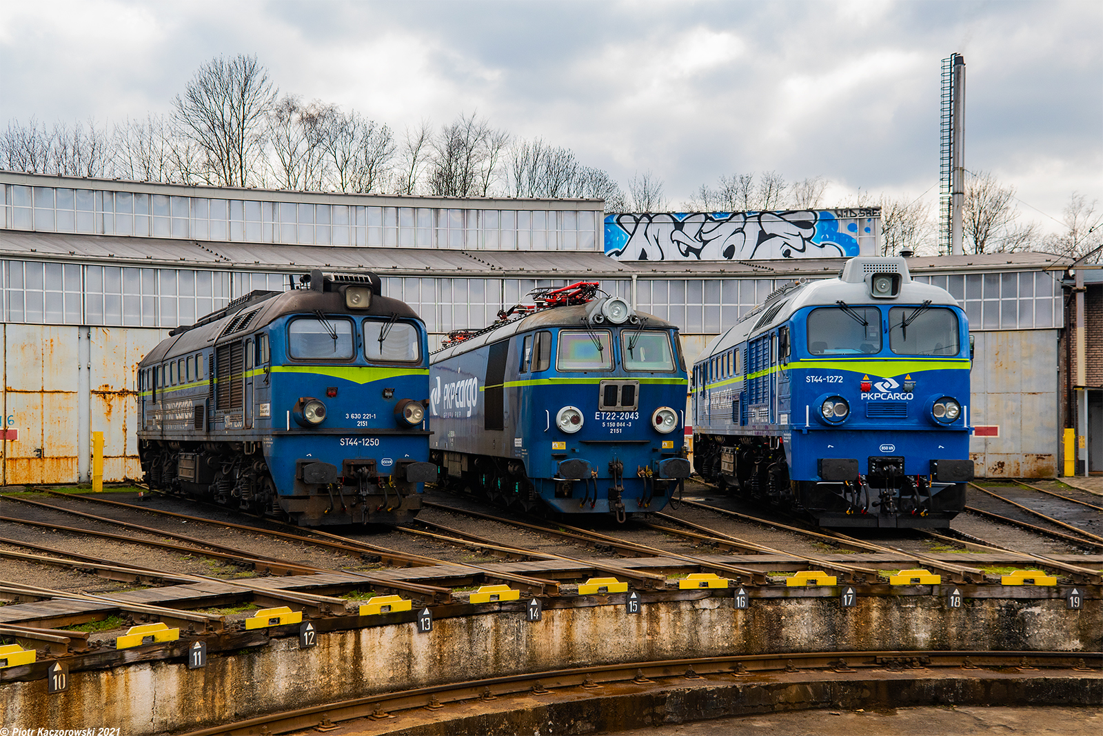 Któregoś dnia na szopie