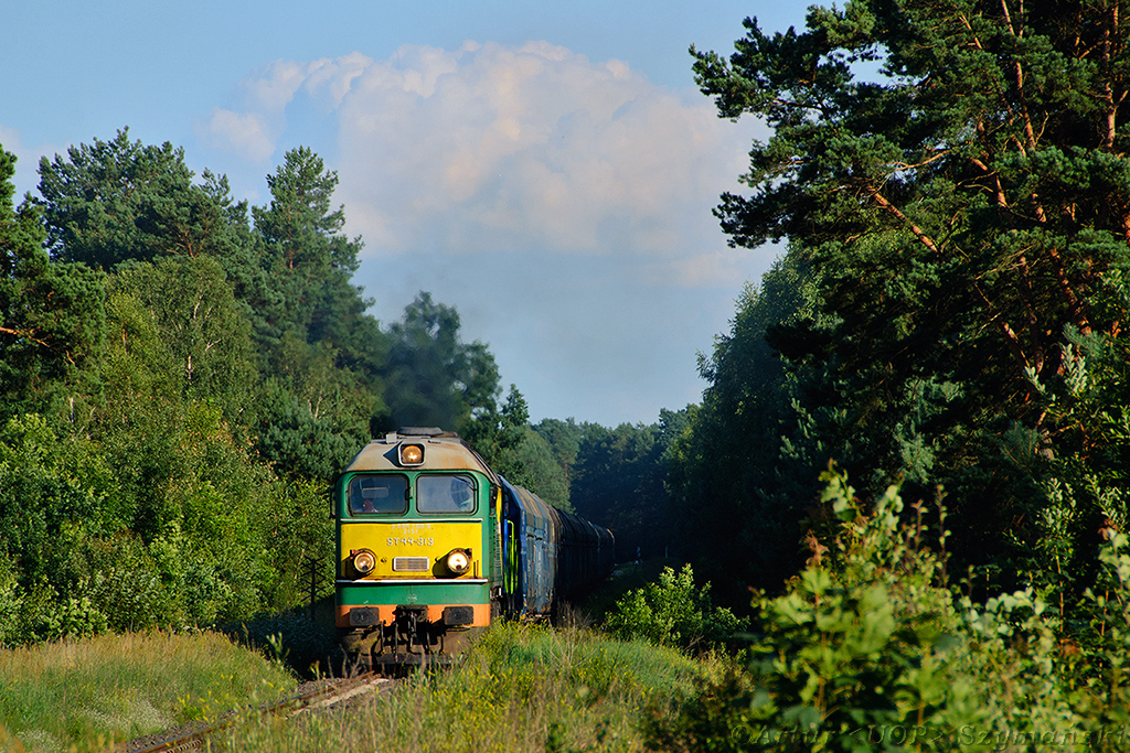 żółto-zielona Biel