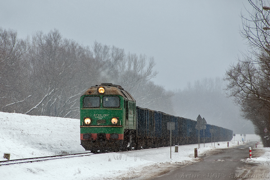 Nietypowy gość na wale zawadowskim