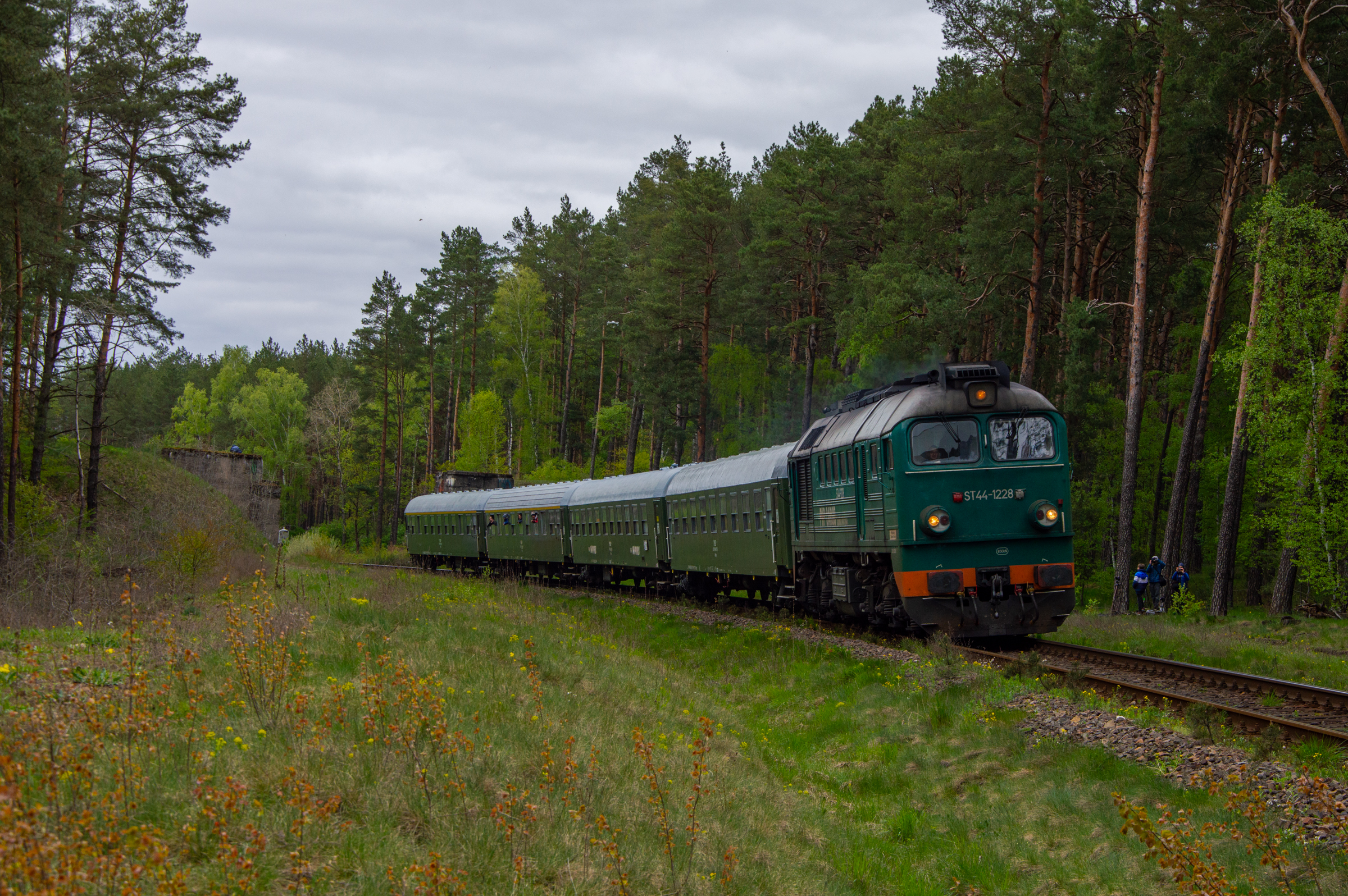 Król na tegorocznej Magistrali.