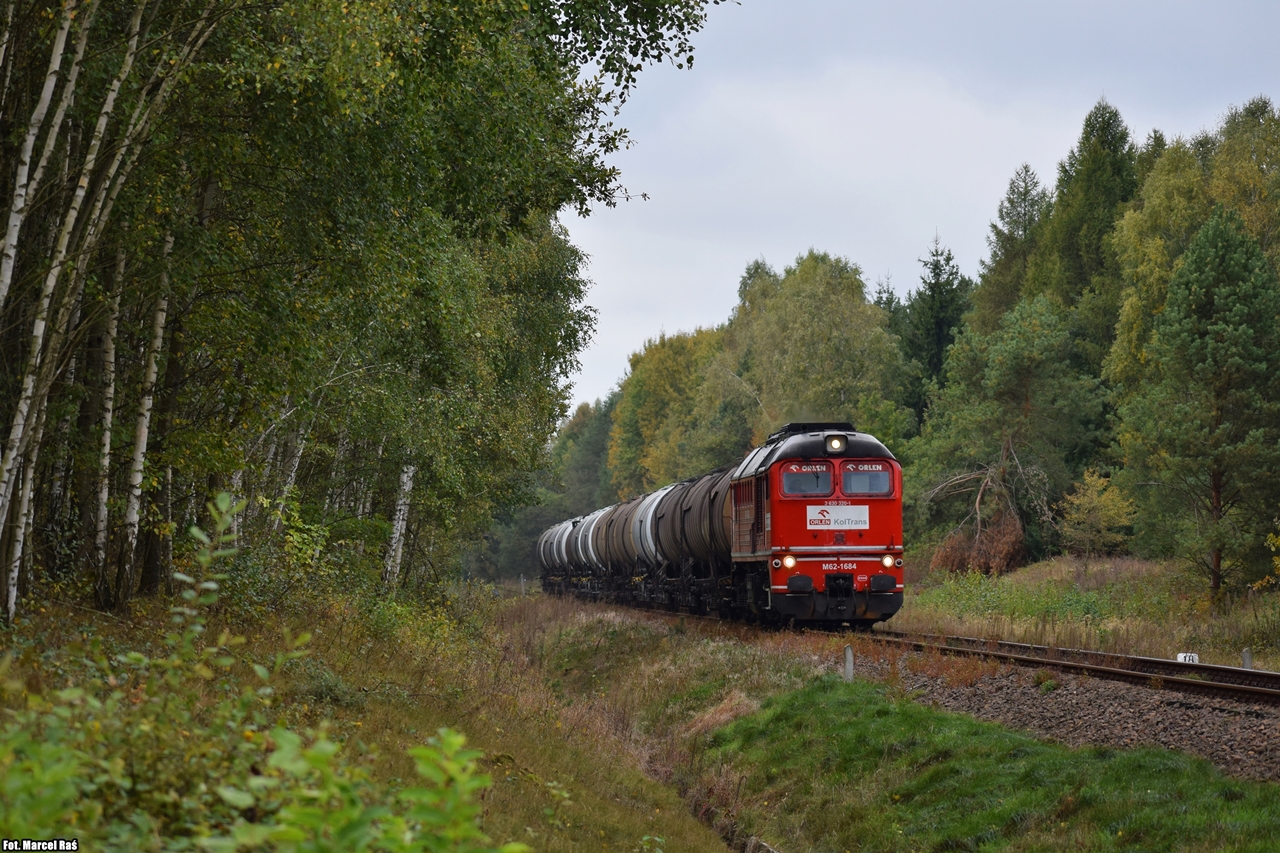 Dziadek na grzybobraniu