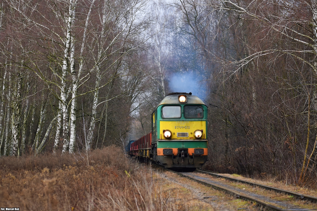 Dziadek pod Laskiem Bemowskim