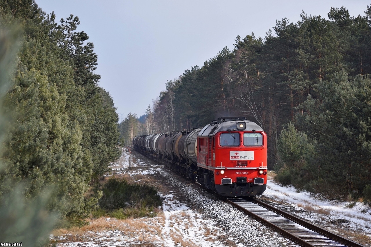 Gagarin widziany z drzewa