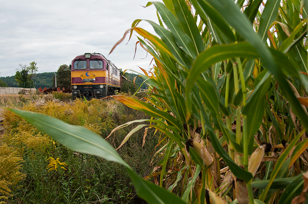 Kukurydziany Gagarin