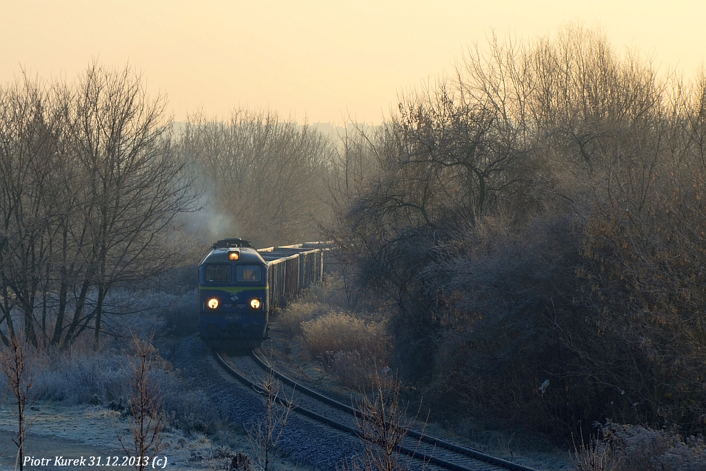 Gagar w zimowej aurze