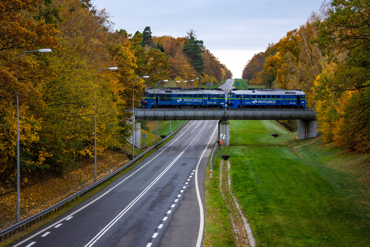 Luzaki nad Berlinką