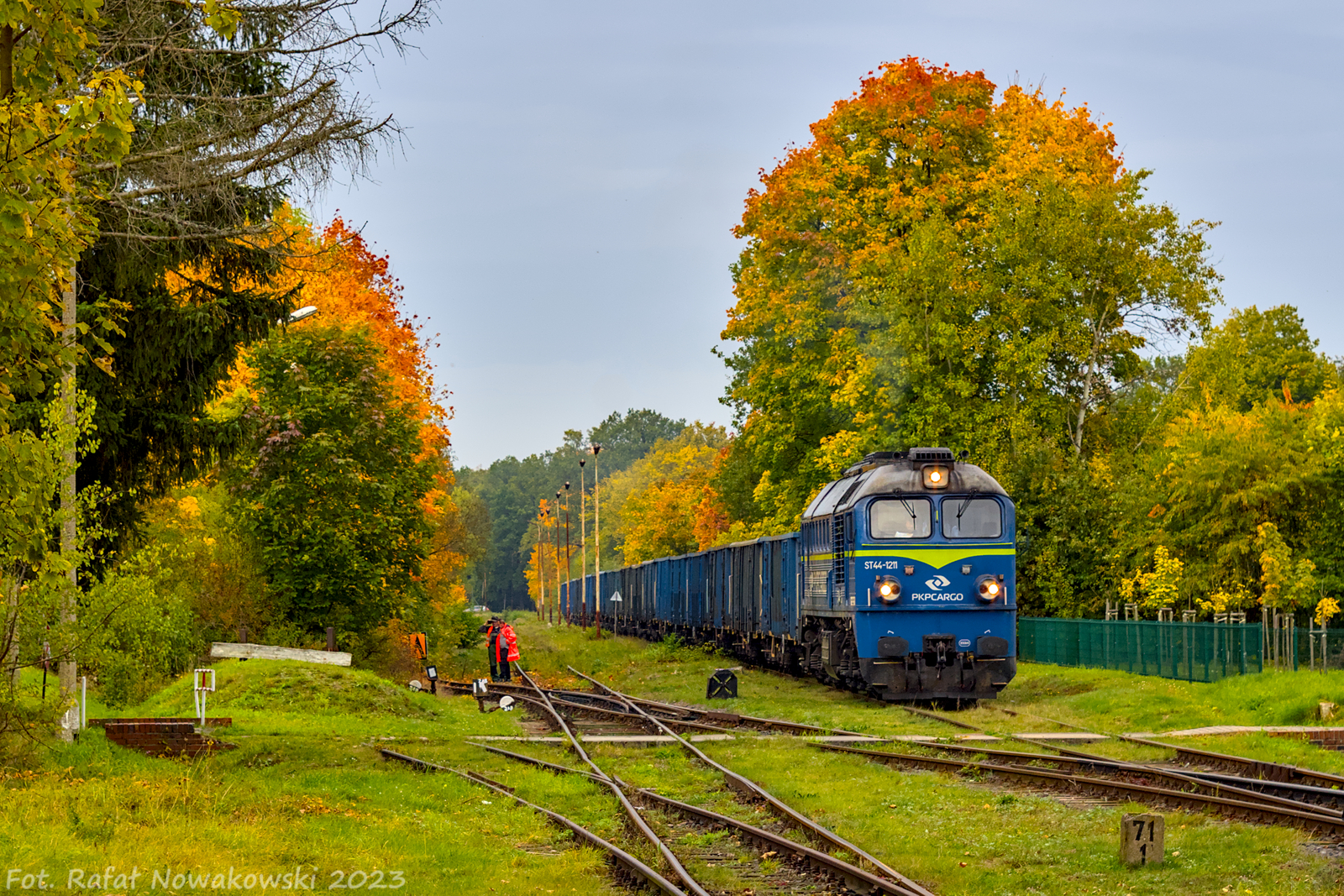 Złota polska jesień