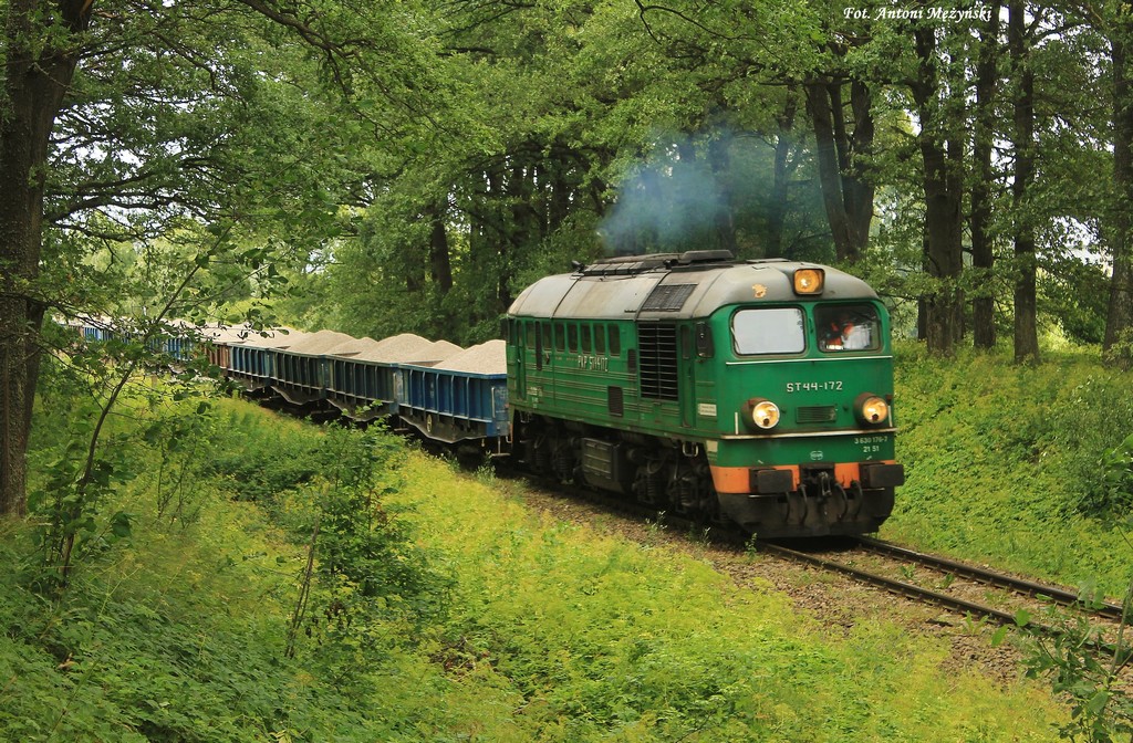 Zielony wśród zieleni, część II