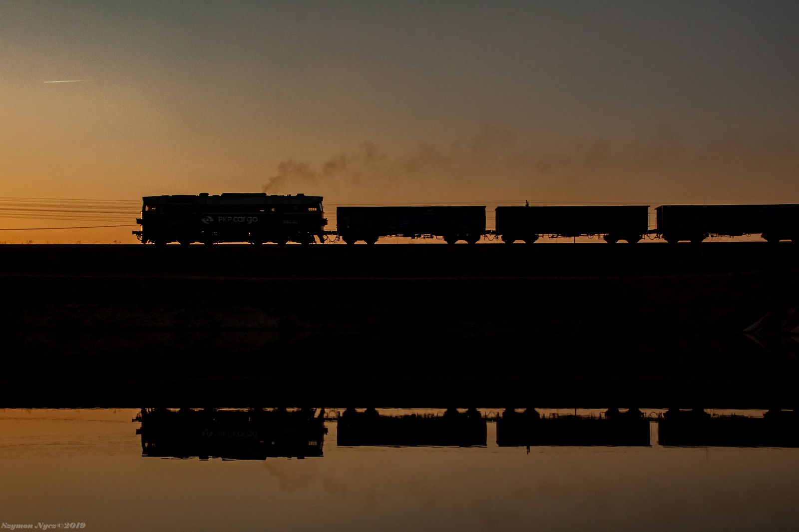 Dwusuw o zachodzie słońca