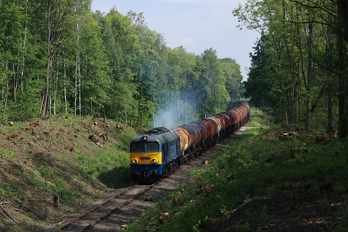 M62-1891 w leśnym wąwozie