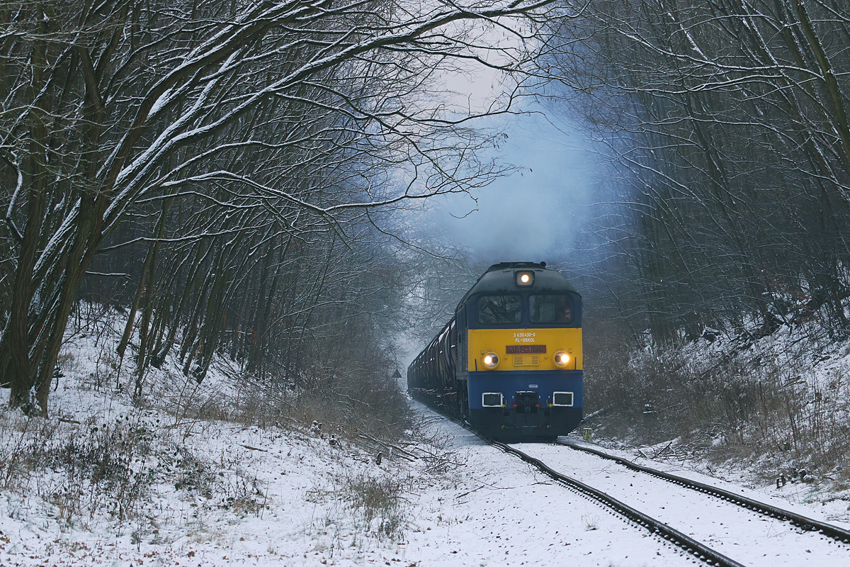 M62-1891 w leśnym wąwozie