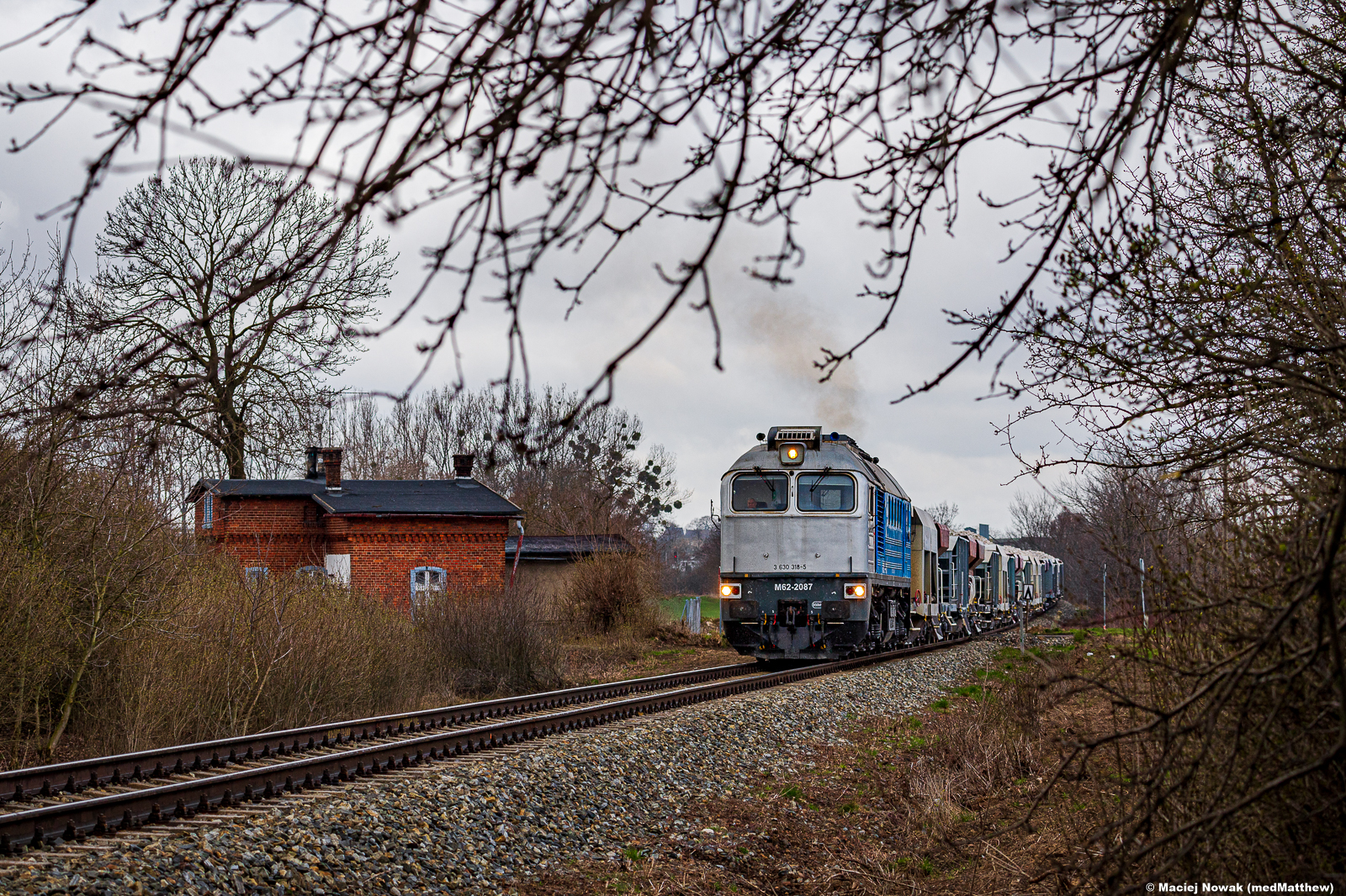 Srebrny gagar CIECHu