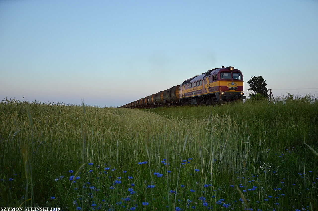 Challenger M62M-014 w Podwierzbiu