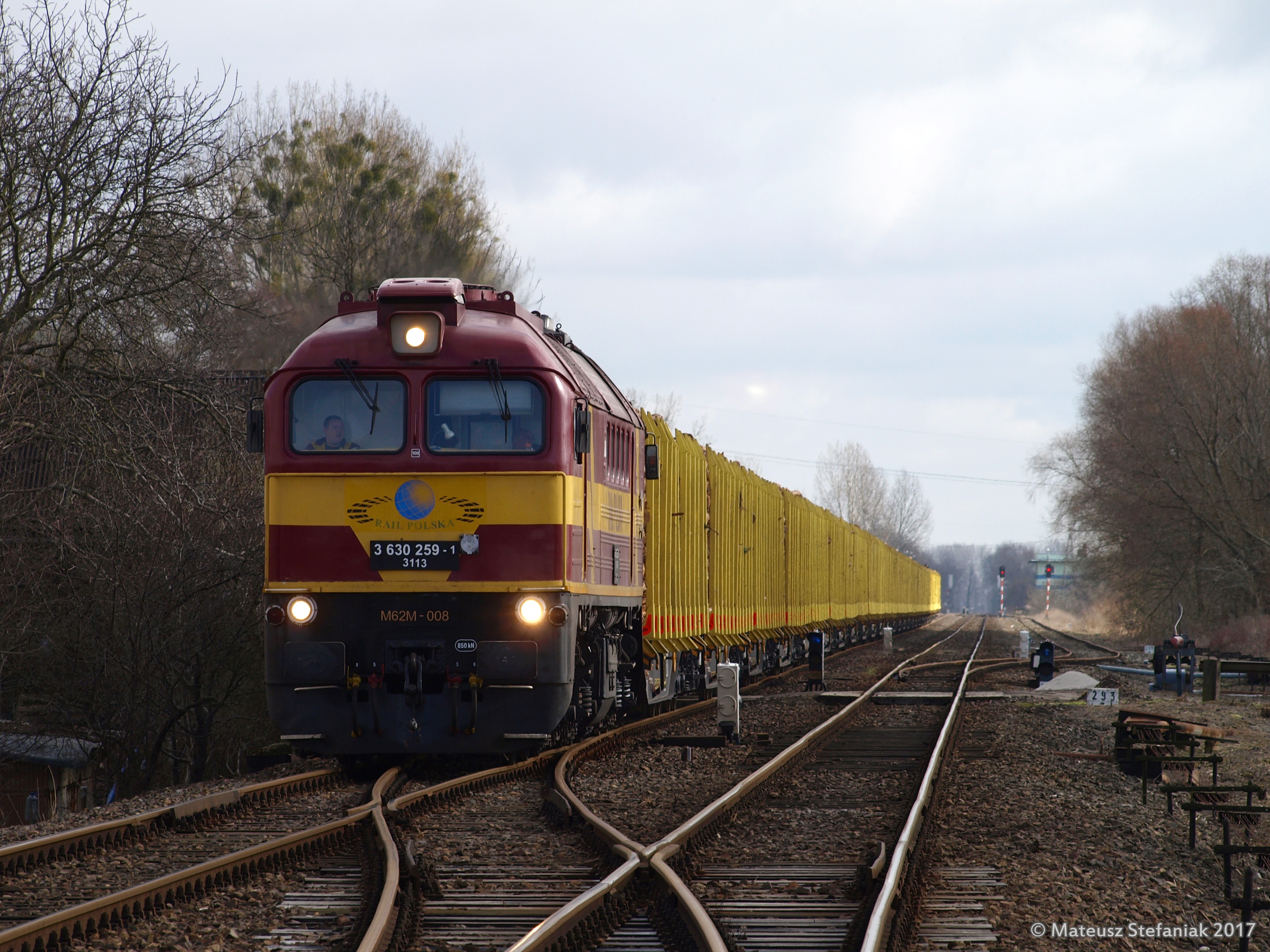 Drewno do Oderbrucke