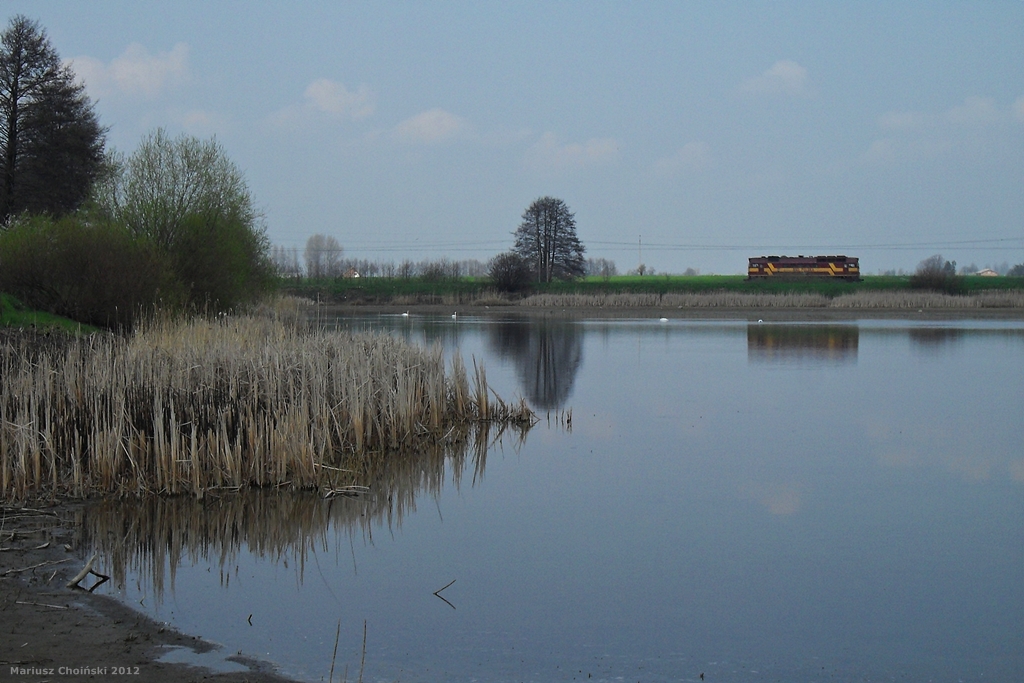 Spuszczony ze smyczy.