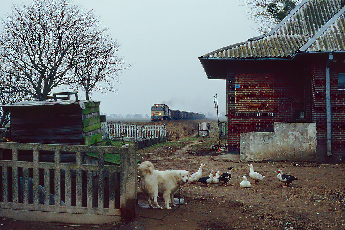 Aktor drugiego planu