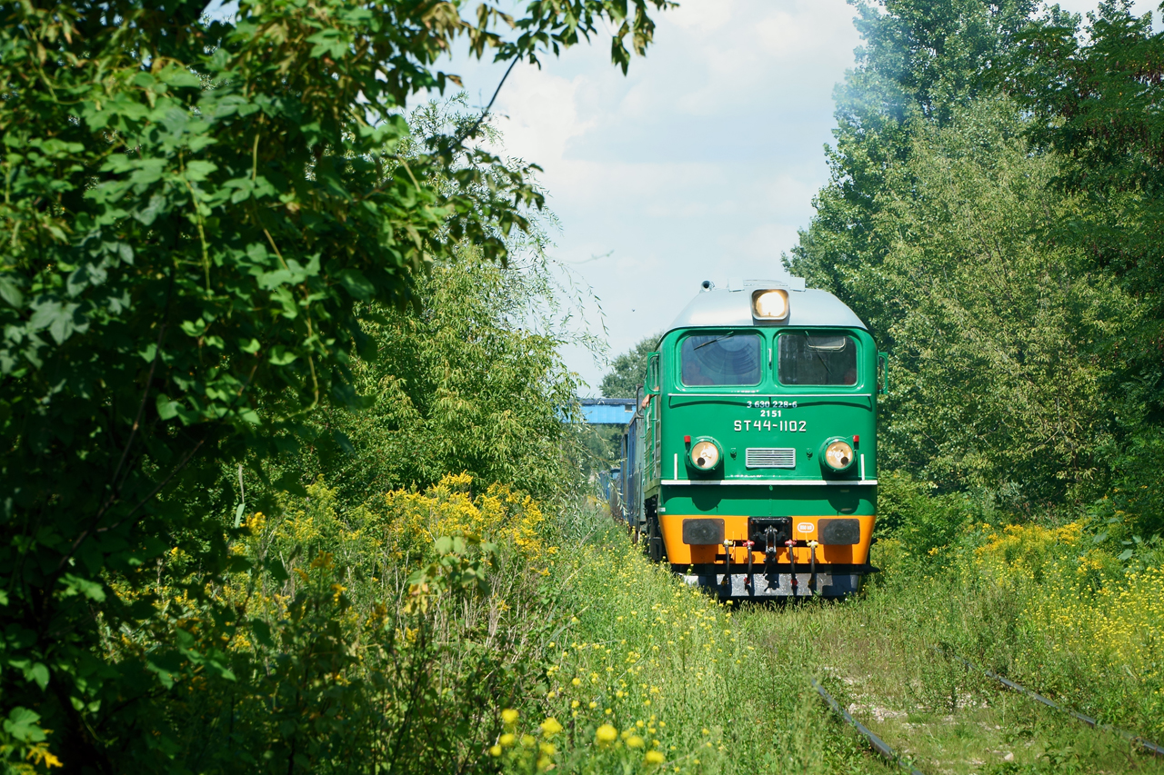 Zielony gdy zielono i gorąco ... :)