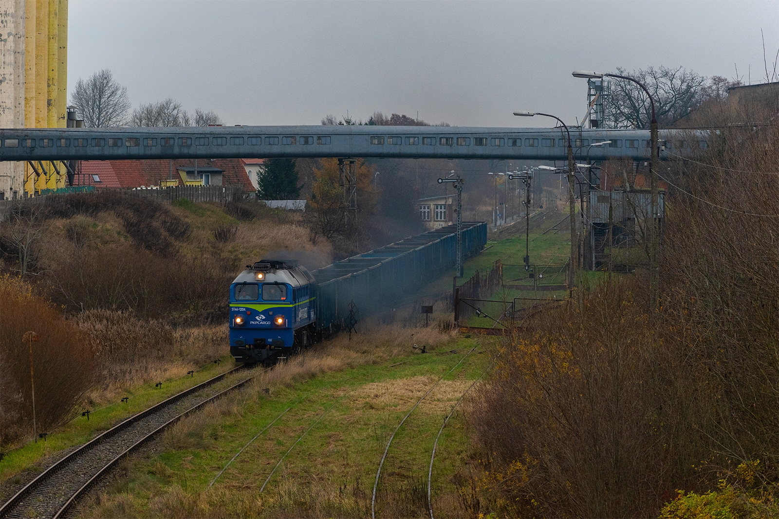 Gagar w Pieniężnie