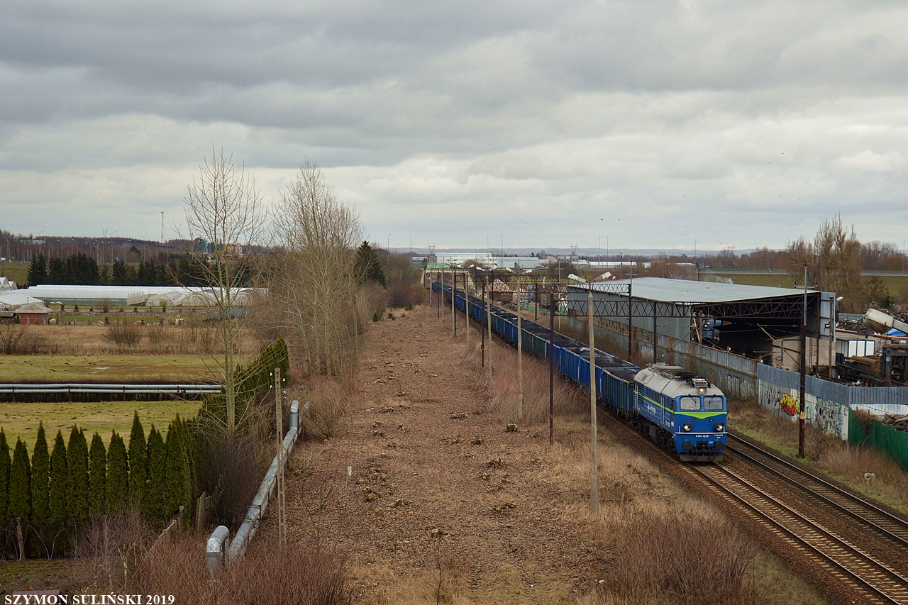 ST44-1229 z węglarzem wjeżdża do Elbląga