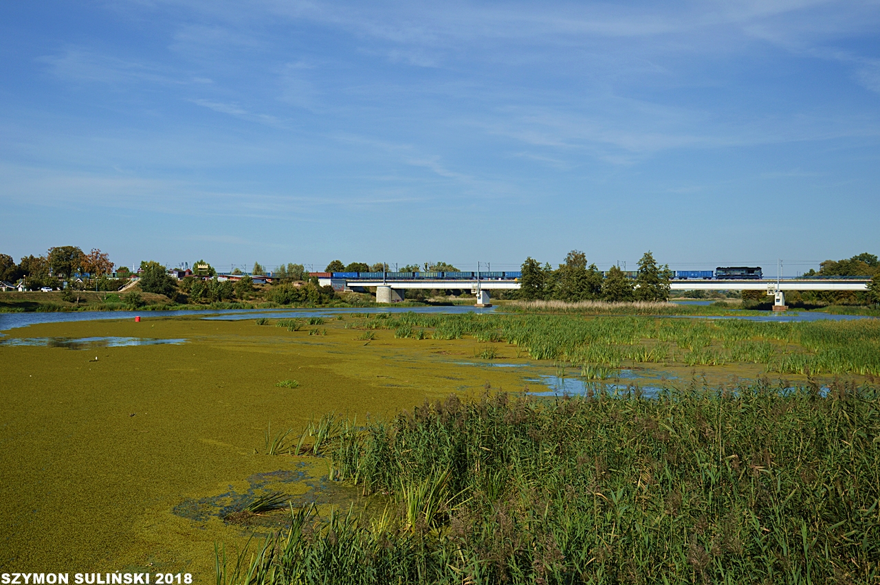 ST44-1233 nad Nogatem w Malborku