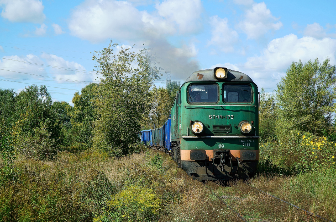 Dziad w dzień Dziadka ...