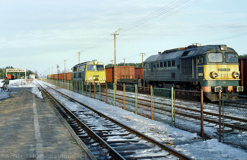 Żółte czoła w Siemianówce