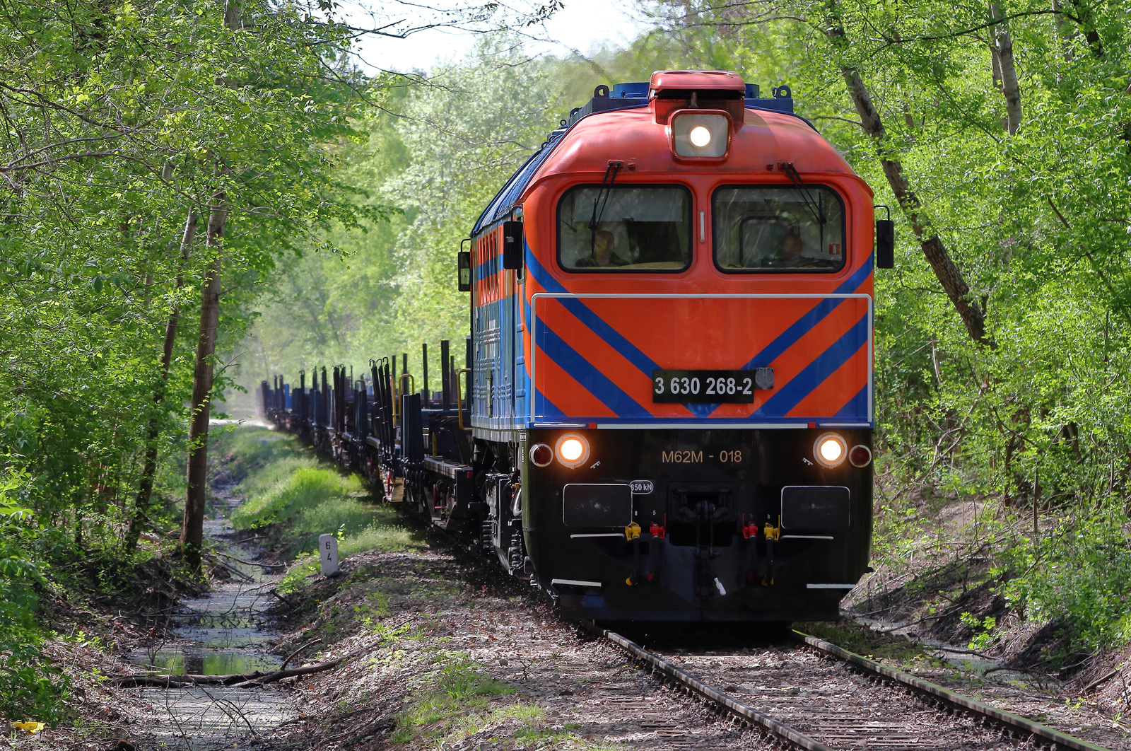 Bogactwo wiosenne na WMH