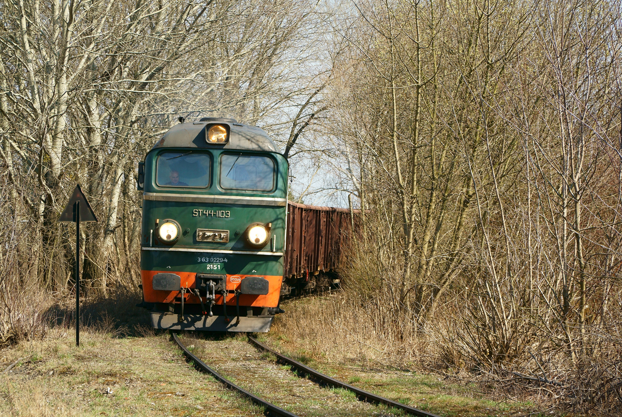 Zielony dał się złapać ... :)