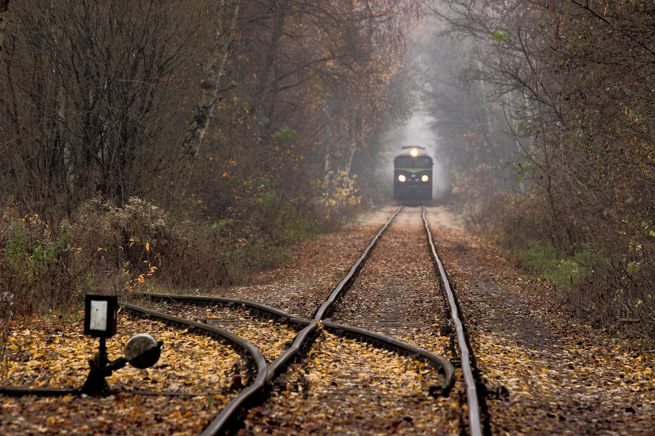 Magia WMH ... spacer po niej trwa tyle co Dobra Płyta