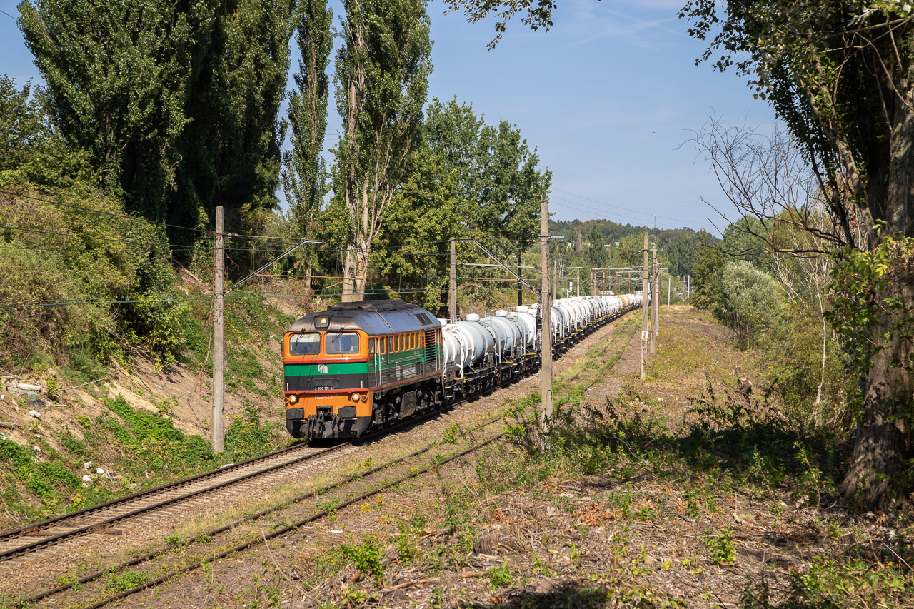 Polmiedź na drewnianej